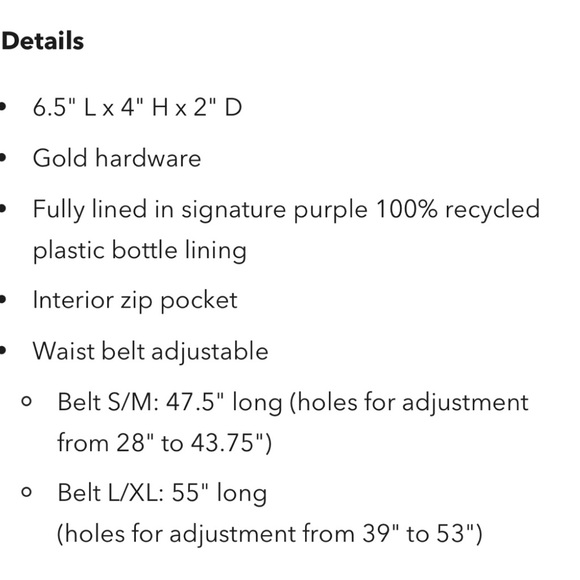 ela Micro Belt Bag - Crossbody Bag with Adjustable Strap - Picture 11 of 12